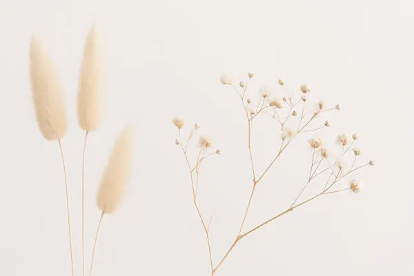 Gräser und Trockenblumen als Beispieldekoration für Praxis für Psychologische Beratung, Laura Bisaccia, B.Sc. in Graz, Steiermark, Österreich und Raaba, Graz Umgebung, Steiermark Österreich